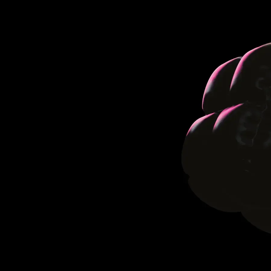 4 (1) (1)
